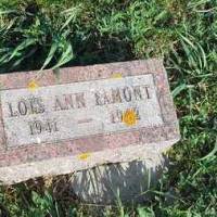 Lois Ann LAMONT