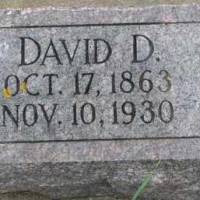 David D. FITZGERALD